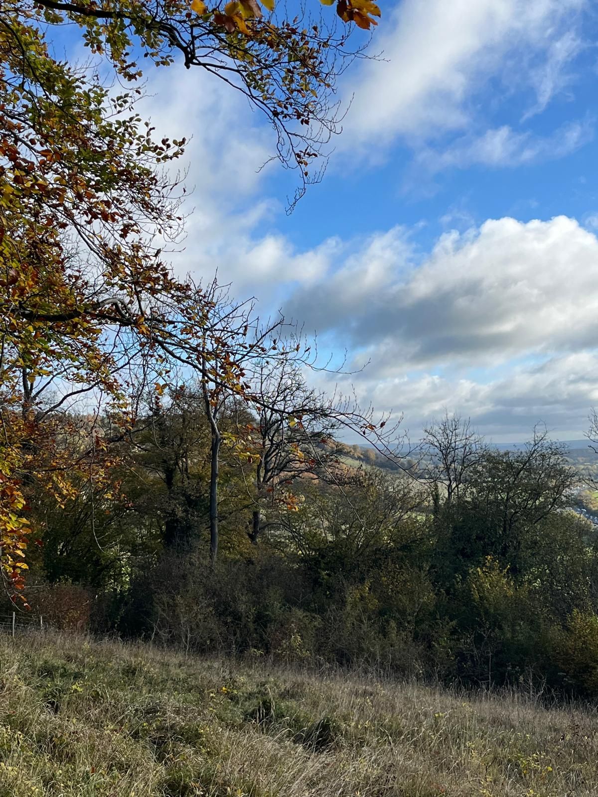View on the downs rear Woldingham